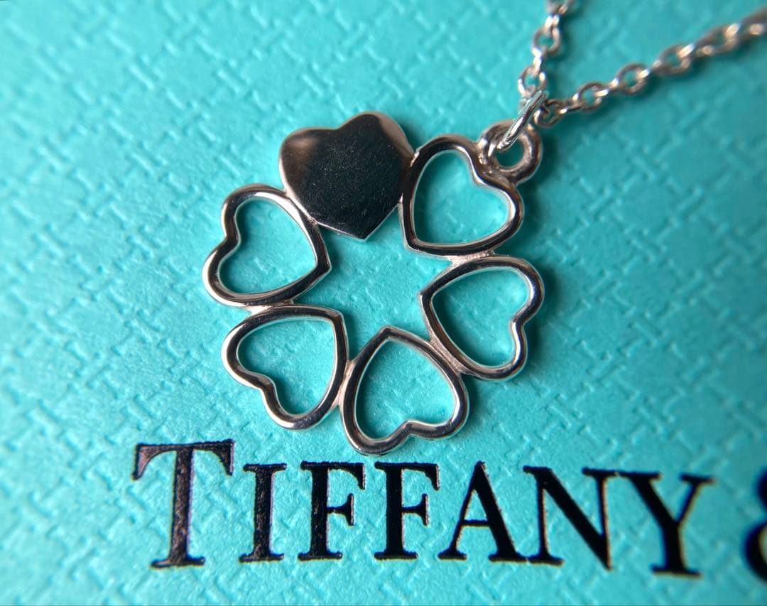 Tiffany Necklaces 6P Ag925