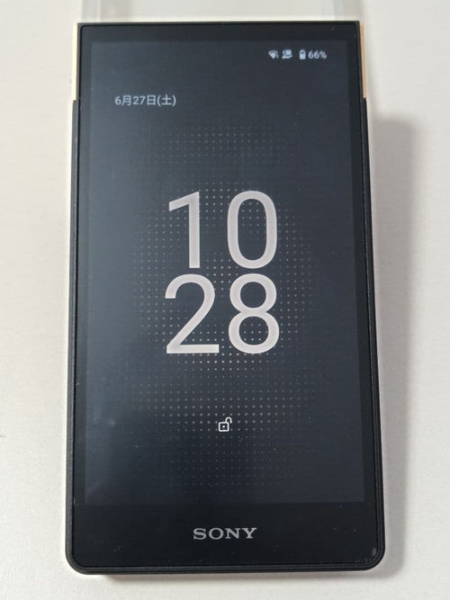 Sony Digital Audio Players Nw-Zx707 64Gb+