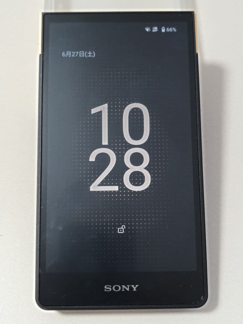 Sony Digital Audio Players Nw-Zx707 64Gb+