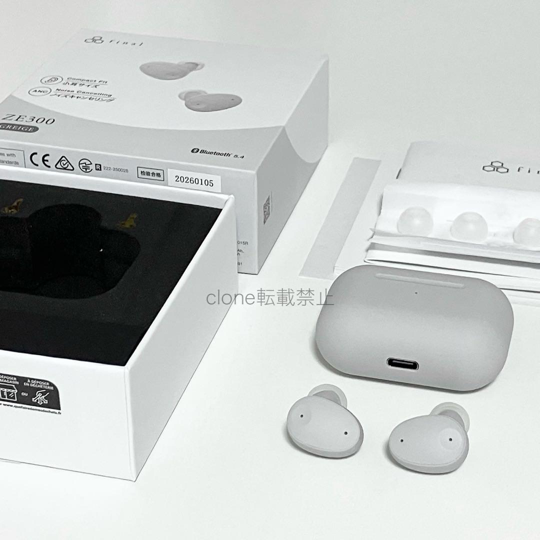 Final Wireless Earphones Ze300