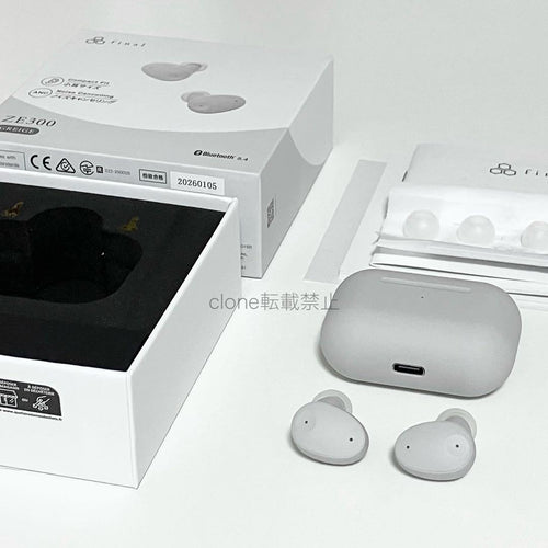Final Wireless Earphones Ze300