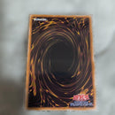 Yu -Gi -Oh! Ocg Duel Monsters 25Th