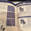 Gameboy Soft 2 Saga2
