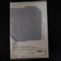 Alter Other