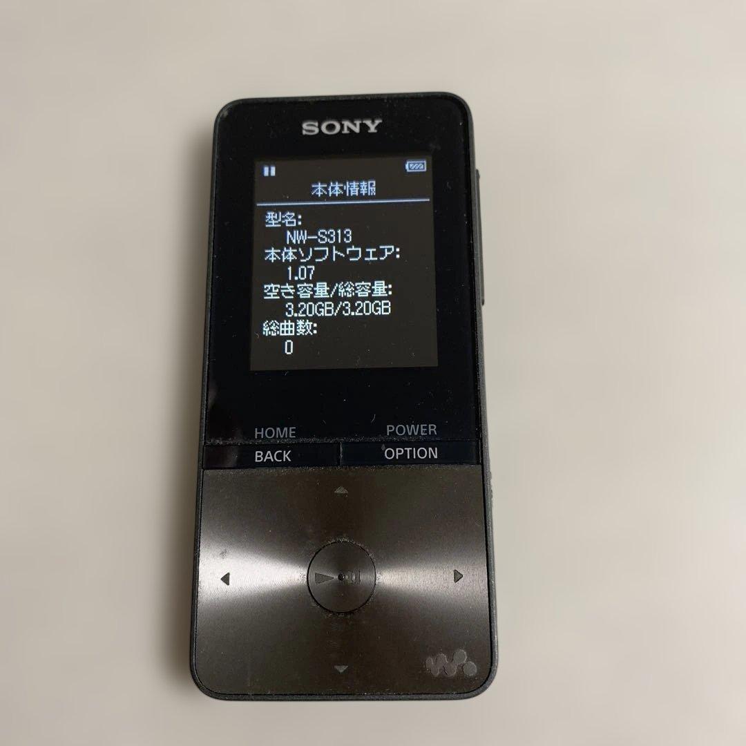 Digital Audio Player Sony Nw-S313