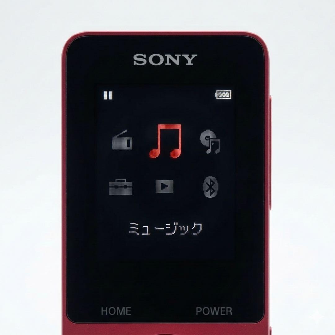 Sony Digital Audio Player Nw-S315 16Gb