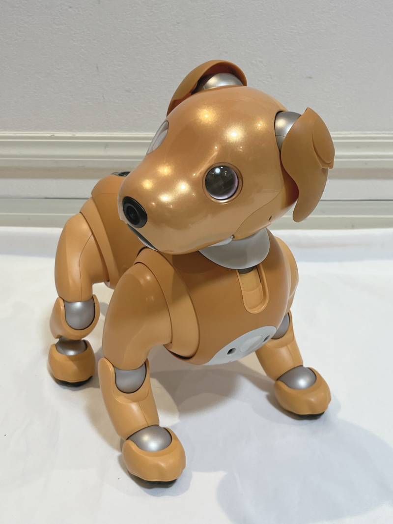 Sony Others Aibo Ers-1000