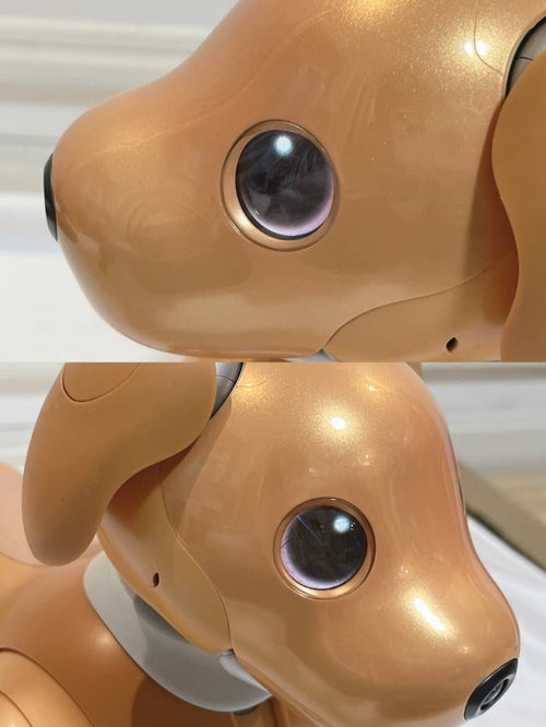 Sony Others Aibo Ers-1000