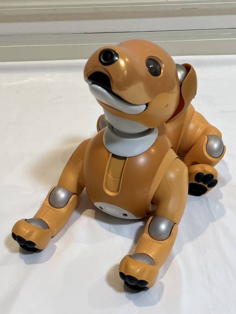 Sony Others Aibo Ers-1000