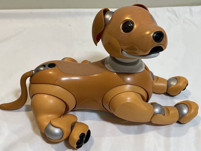 Sony Others Aibo Ers-1000