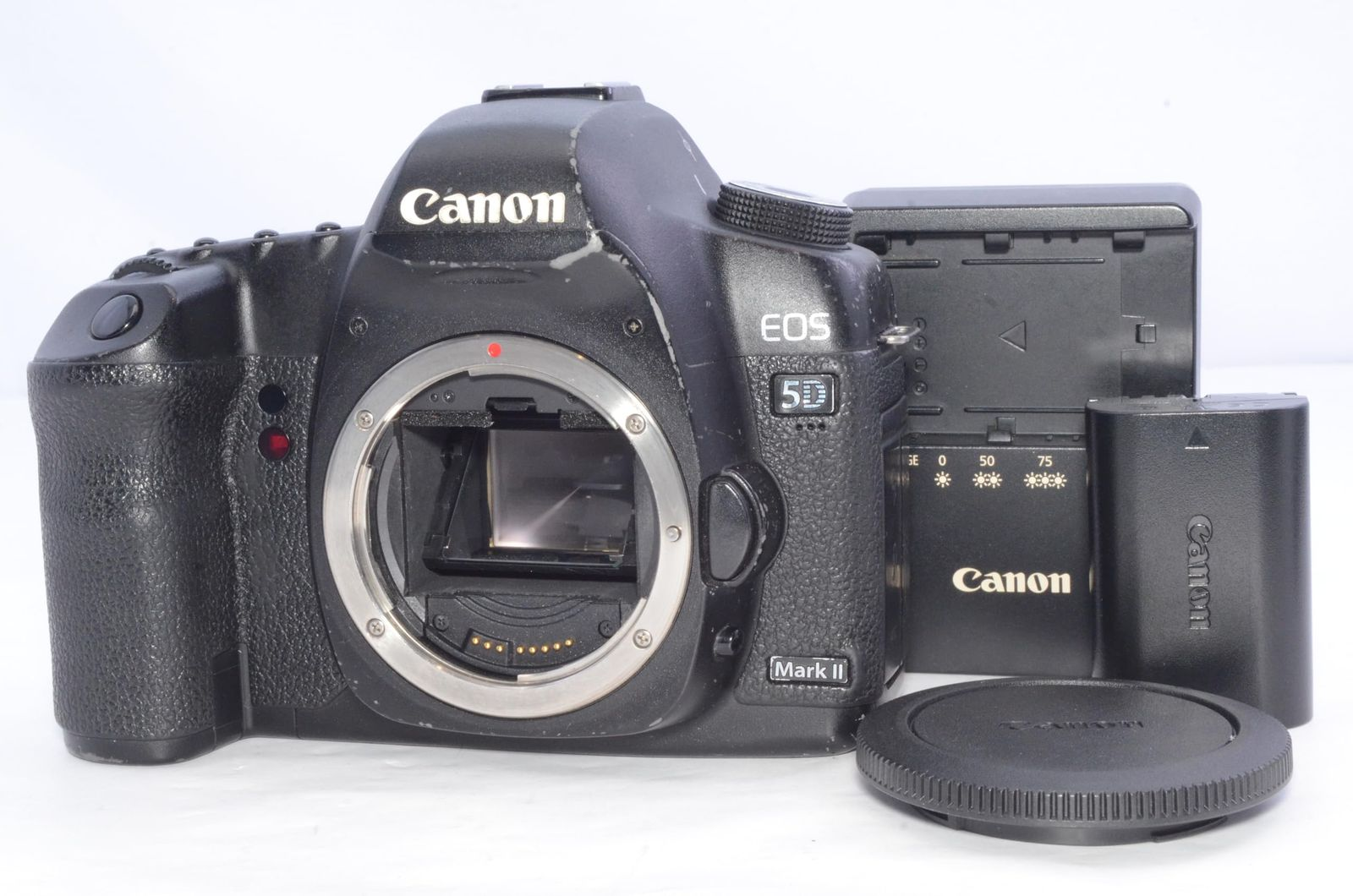 Canon Digital Slr Eos 5D Markii