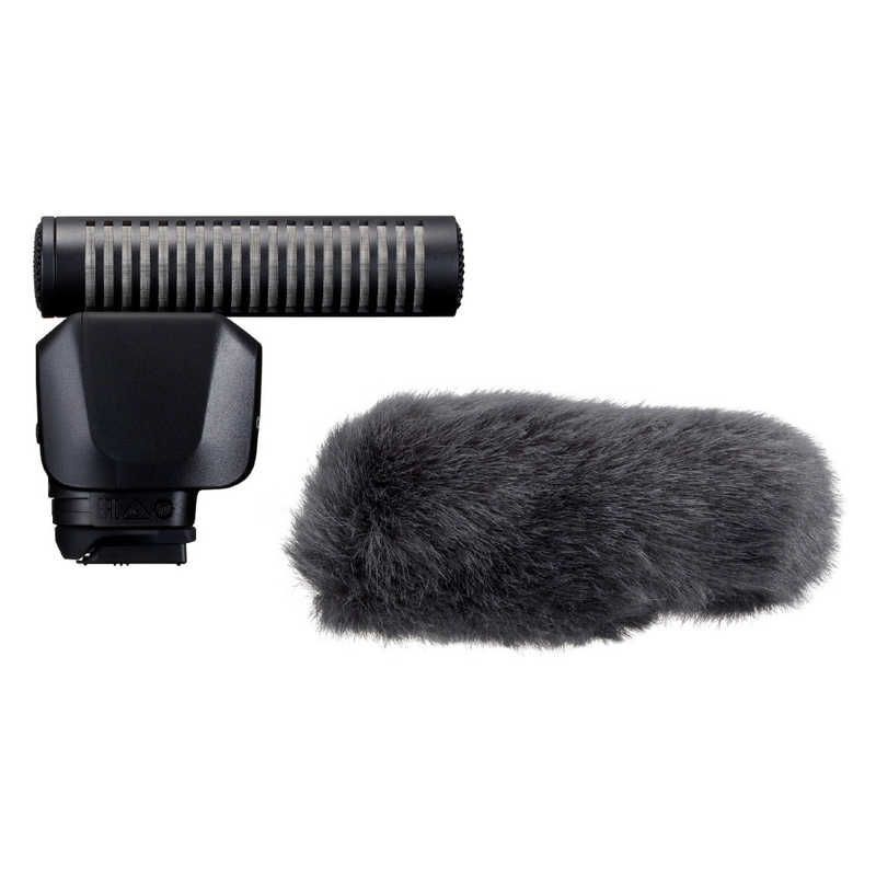 Canon Others Dm-E1D