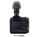 Canon Others Dm-E1D