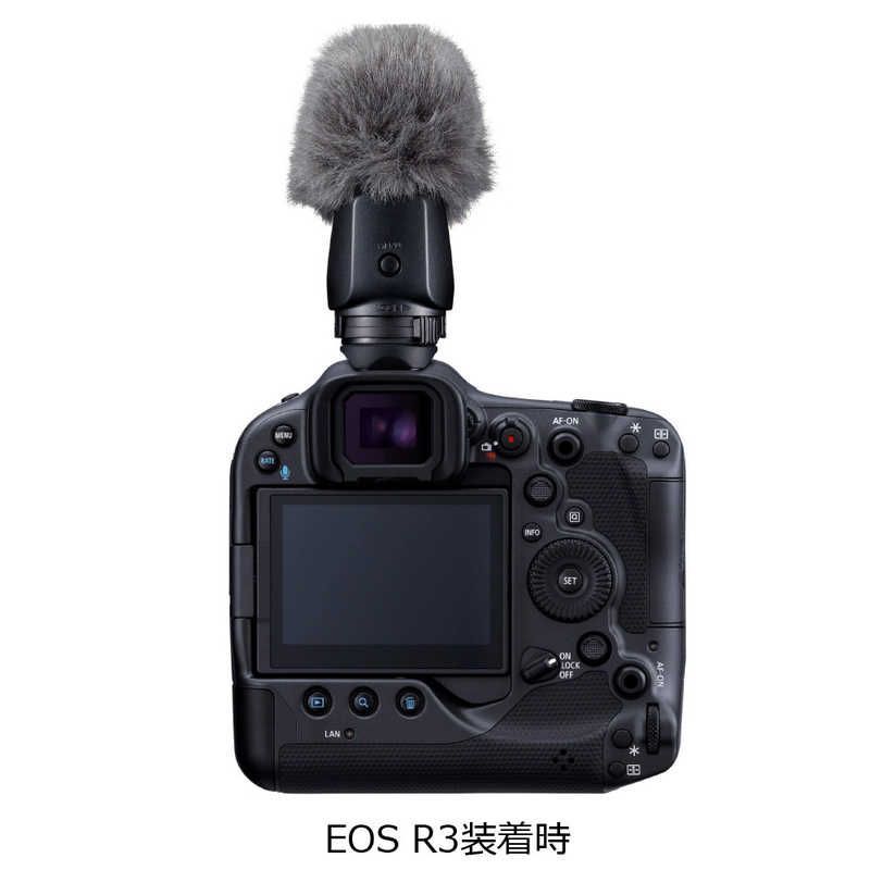 Canon Others Dm-E1D