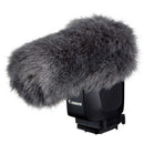 Canon Others Dm-E1D