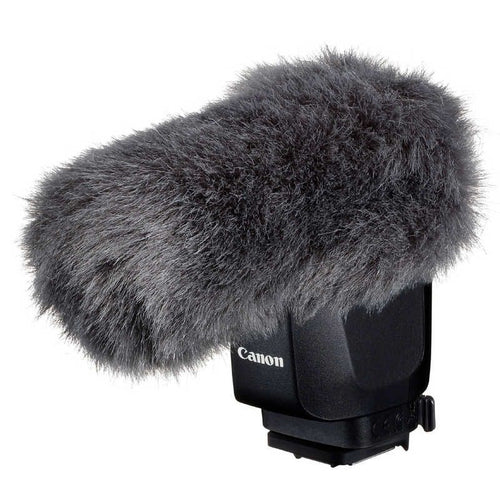 Canon Others Dm-E1D