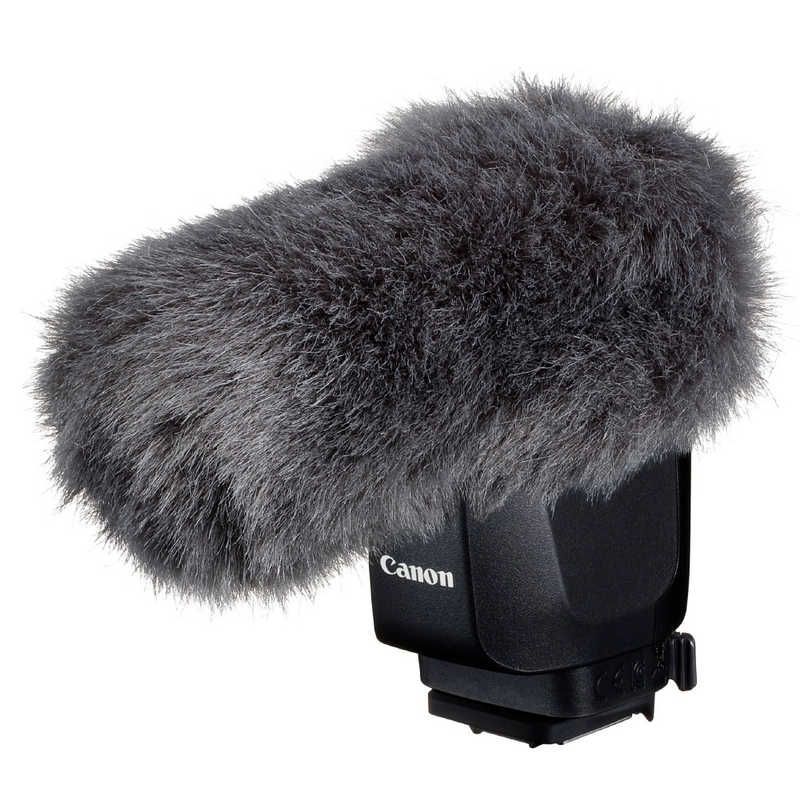 Canon Others Dm-E1D