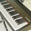 Roland Keyboard Electronic Piano Go:Piano 88