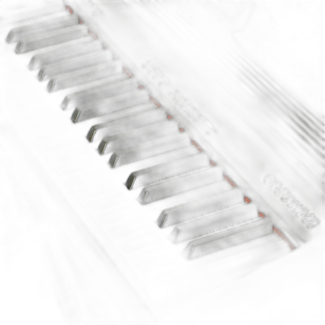 Roland Keyboard Electronic Piano Go:Piano 88