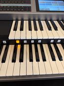 Other 6791 Yamahaelectoneels-02C 2021