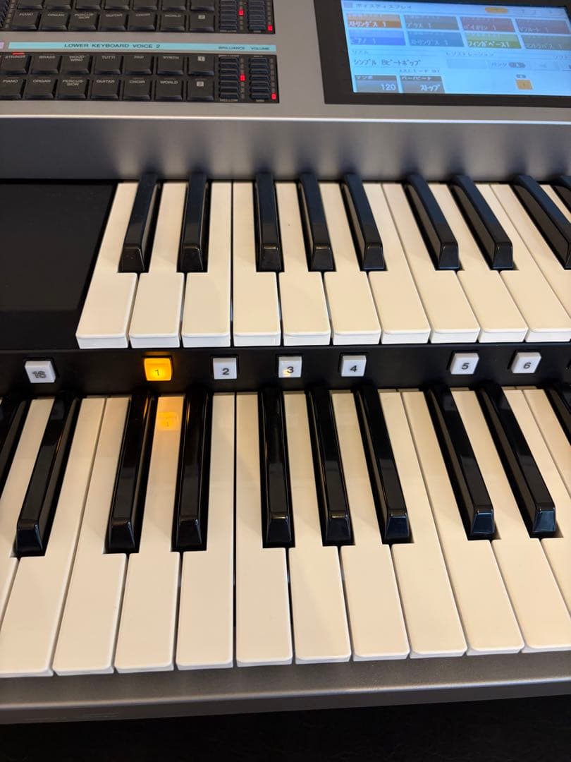 Other 6791 Yamahaelectoneels-02C 2021