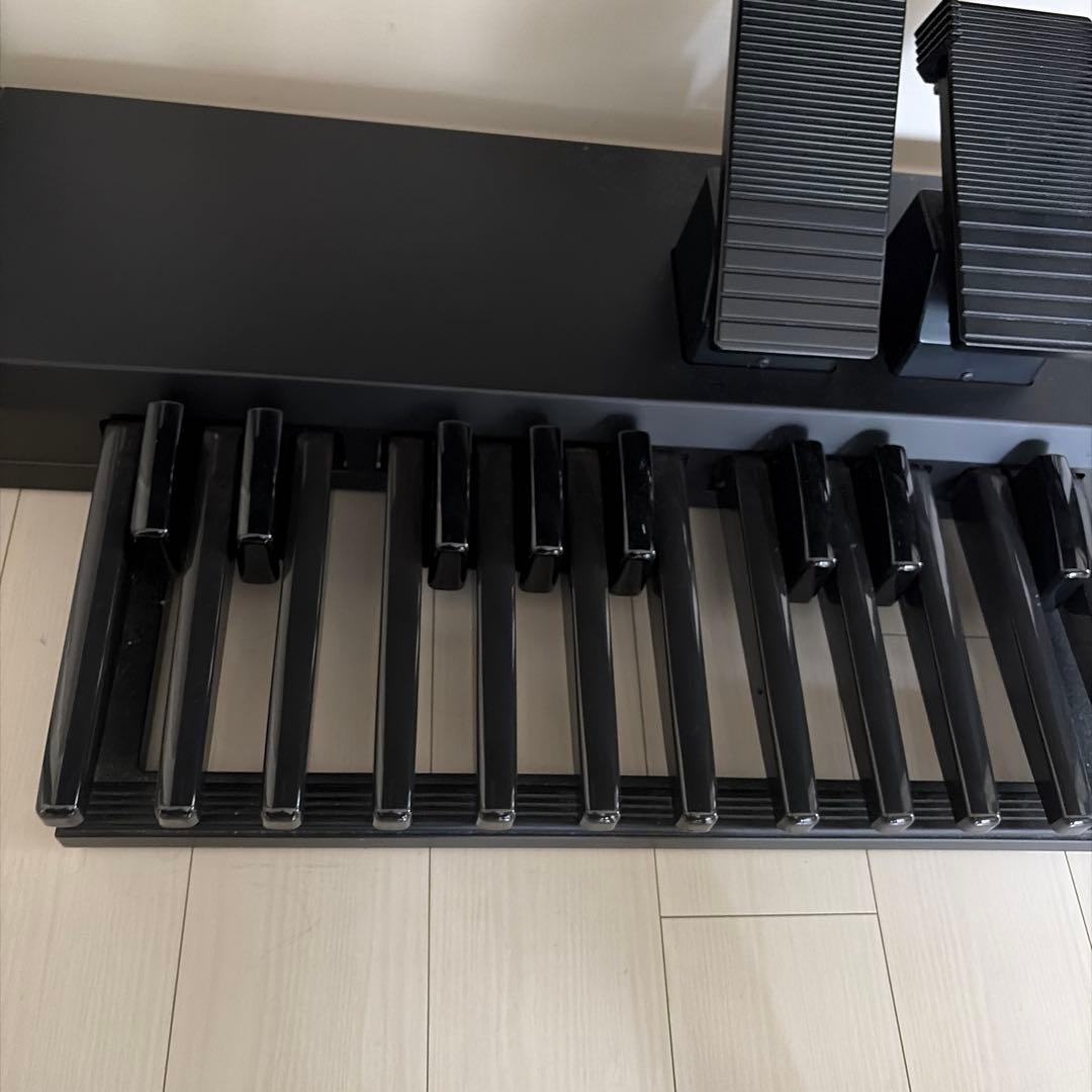 Other 6791 Yamahaelectoneels-02C 2021