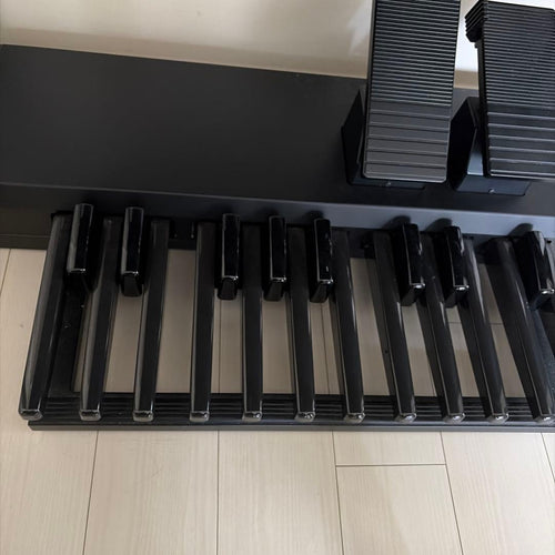 Other 6791 Yamahaelectoneels-02C 2021