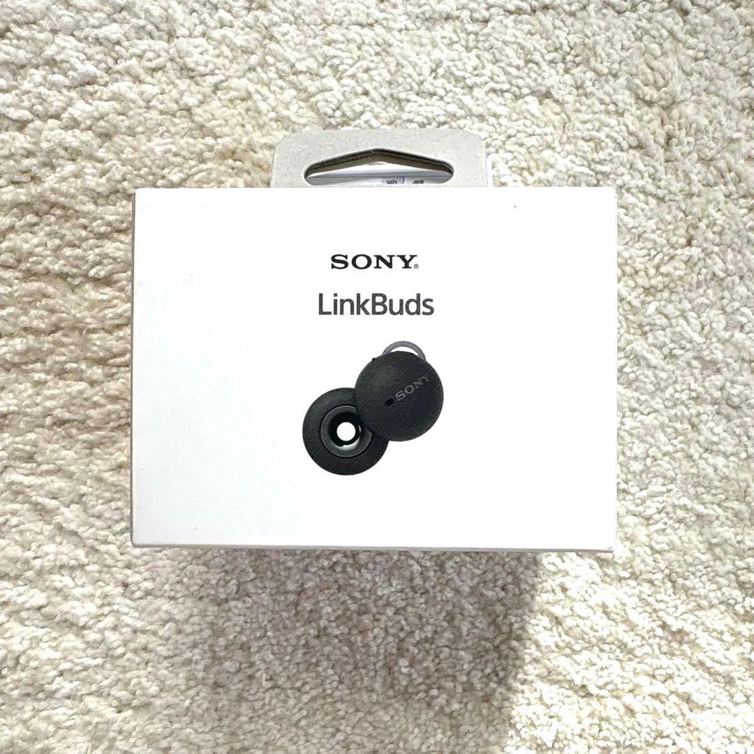 Sony Wireless Earphones Linkbuds Wf-L900/Hm