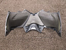 Kawasaki Cowl Fender Zz-R1400 B3906 Zxt40A Zxt40Ae Ninja Fi