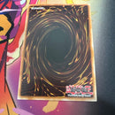 Yu -Gi -Oh! Ocg Duel Monsters (Foreign Language Version)