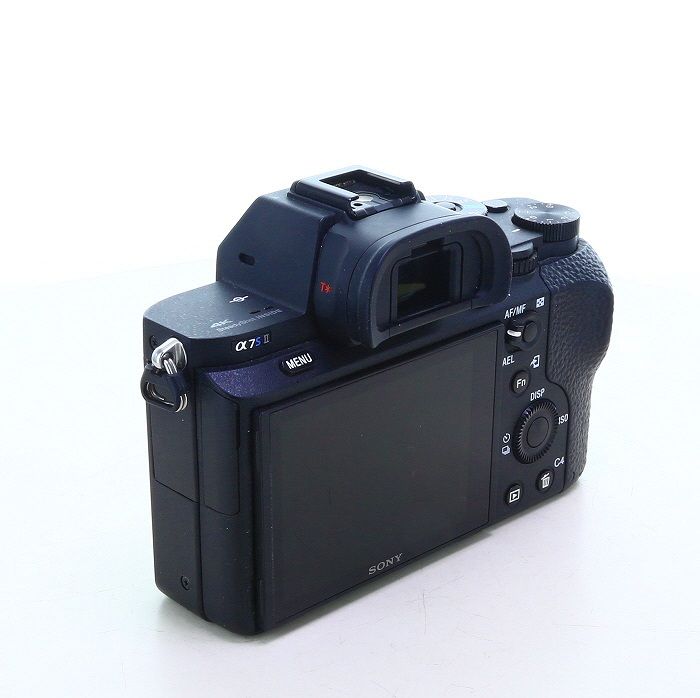 Sony Others 7S Ii [Ilce-7Sm2] Overseas Version