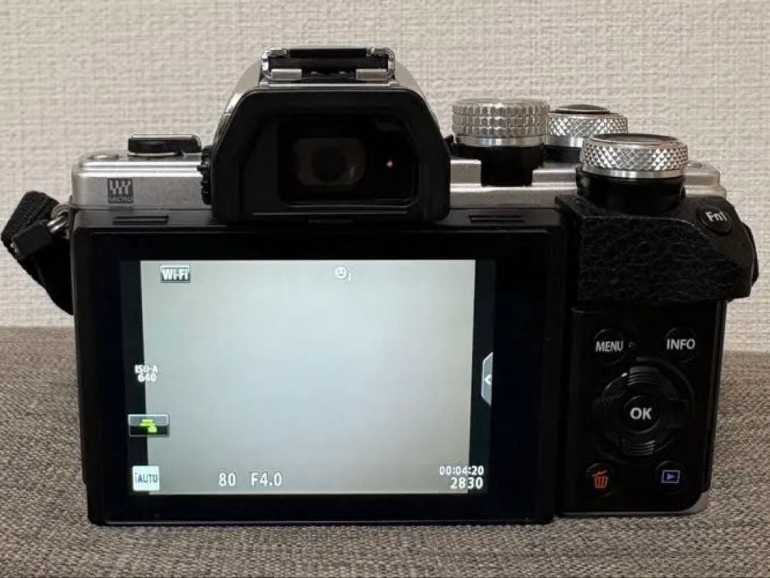 Olympus Mirrorless Interchangeable Lens Cameras E-M10Markii
