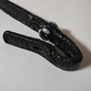 Nikon Camera Cases F2