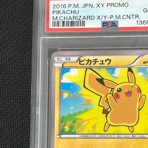 Pokemon Card Game Psa10 Promo 206/Xy-P Box X Y