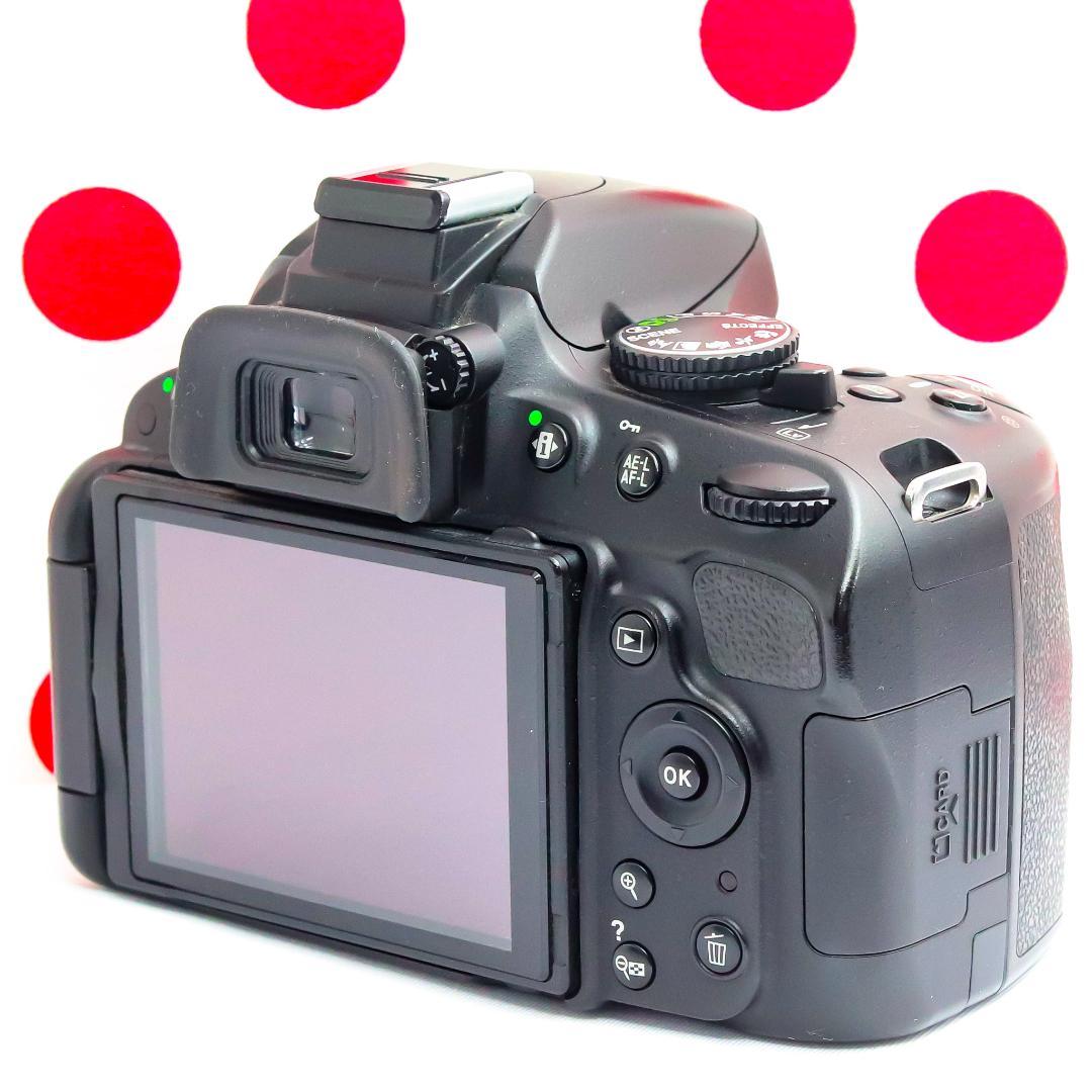 Nikon Digital Slrs D5100