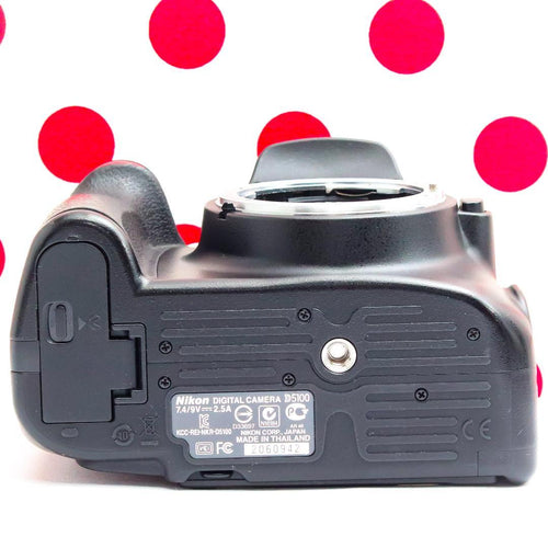 Nikon Digital Slrs D5100