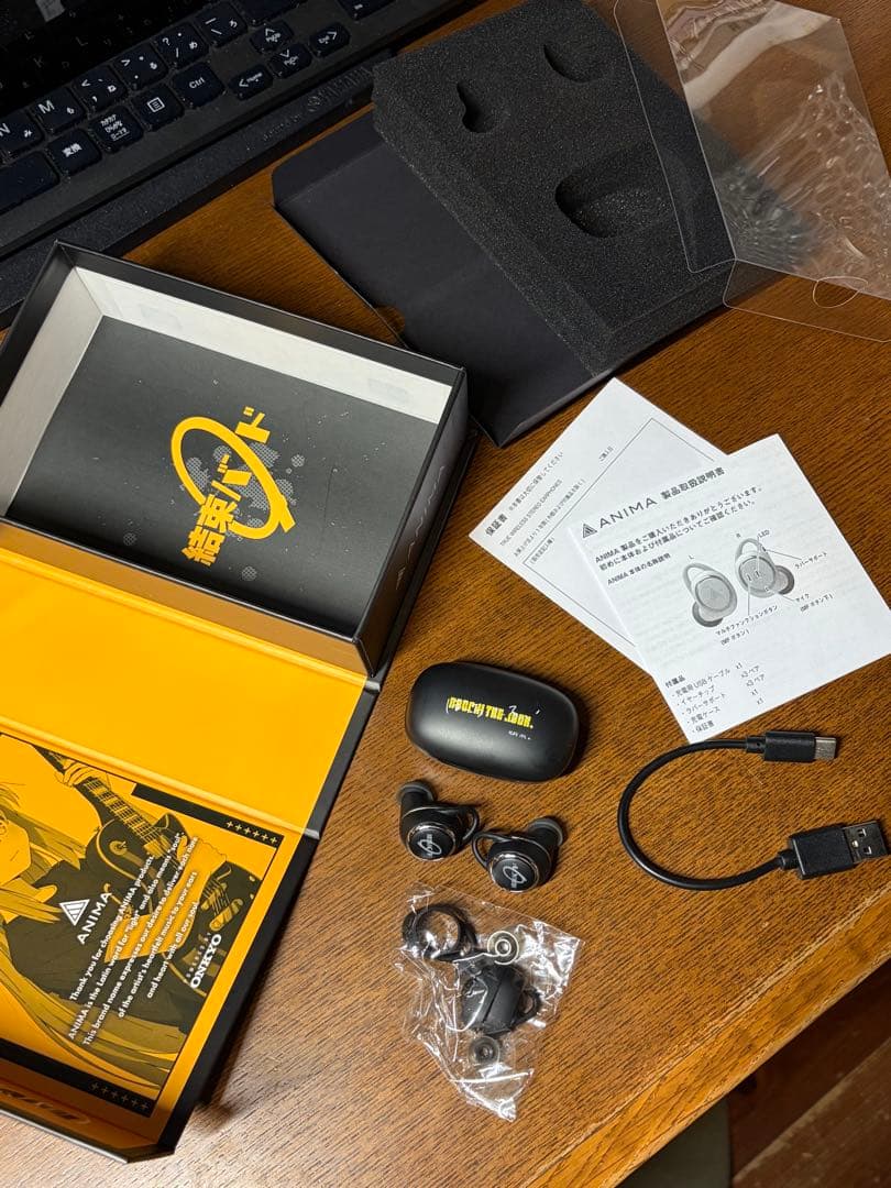 Wireless Earphone Onkyo Anima Aow
