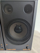 Roland Speakers Ed Ma-110