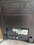 Roland Speakers Ed Ma-110