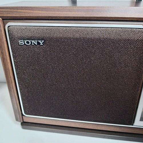 Radio And Boombox Sony Icf-9740 Fm/Am 2