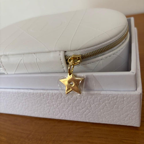 Christian Dior Accessory Cases