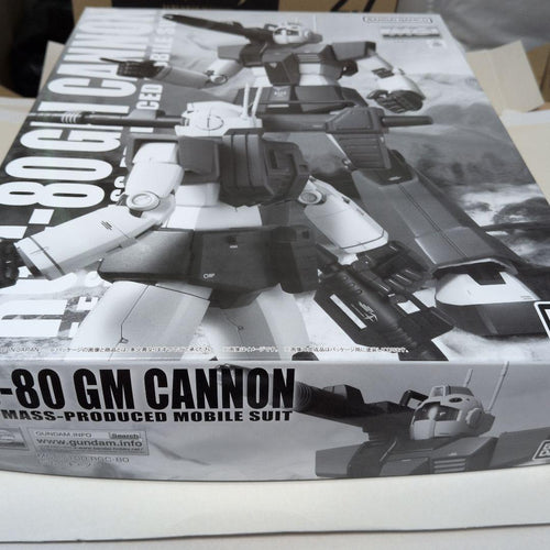 Mg (Master Grade) 1/100 Rgc-80