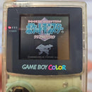 Gameboy Consoles (Game Boy Color) Nintendo