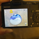 Ricoh Compact Digital Camera Caplio Gx100 Vf-1