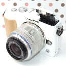 Olympus Mirrorless Interchangeable Lens Cameras Pl2