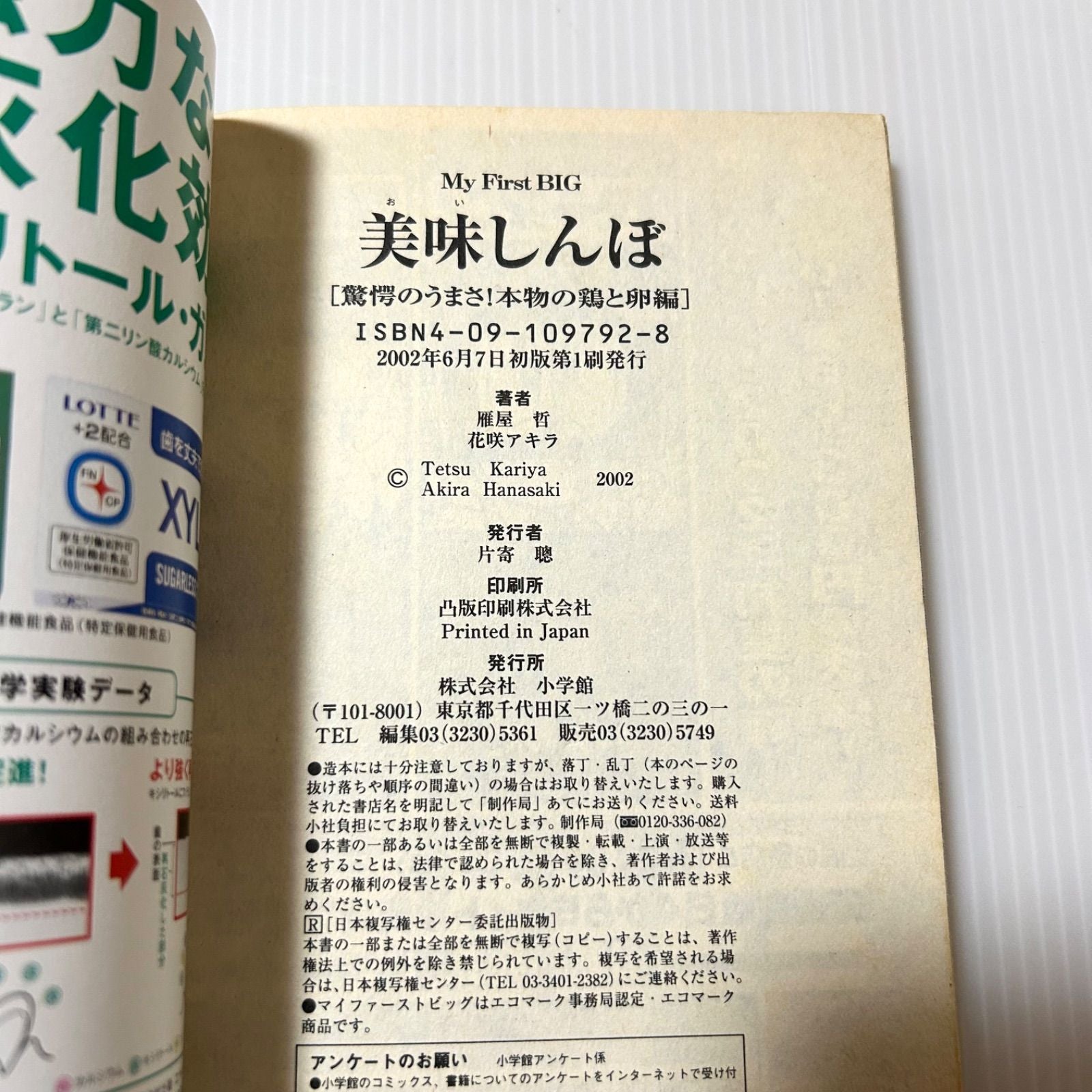 Youth Manga (My First Big)