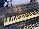 Roland Analog Synthesizer Jd-800