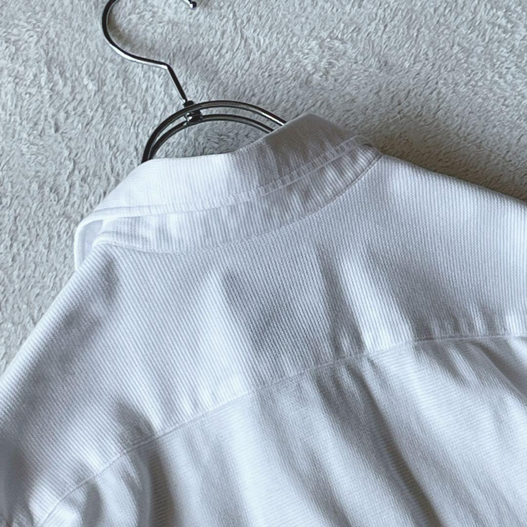 Tomorrowland Polo Shirts
