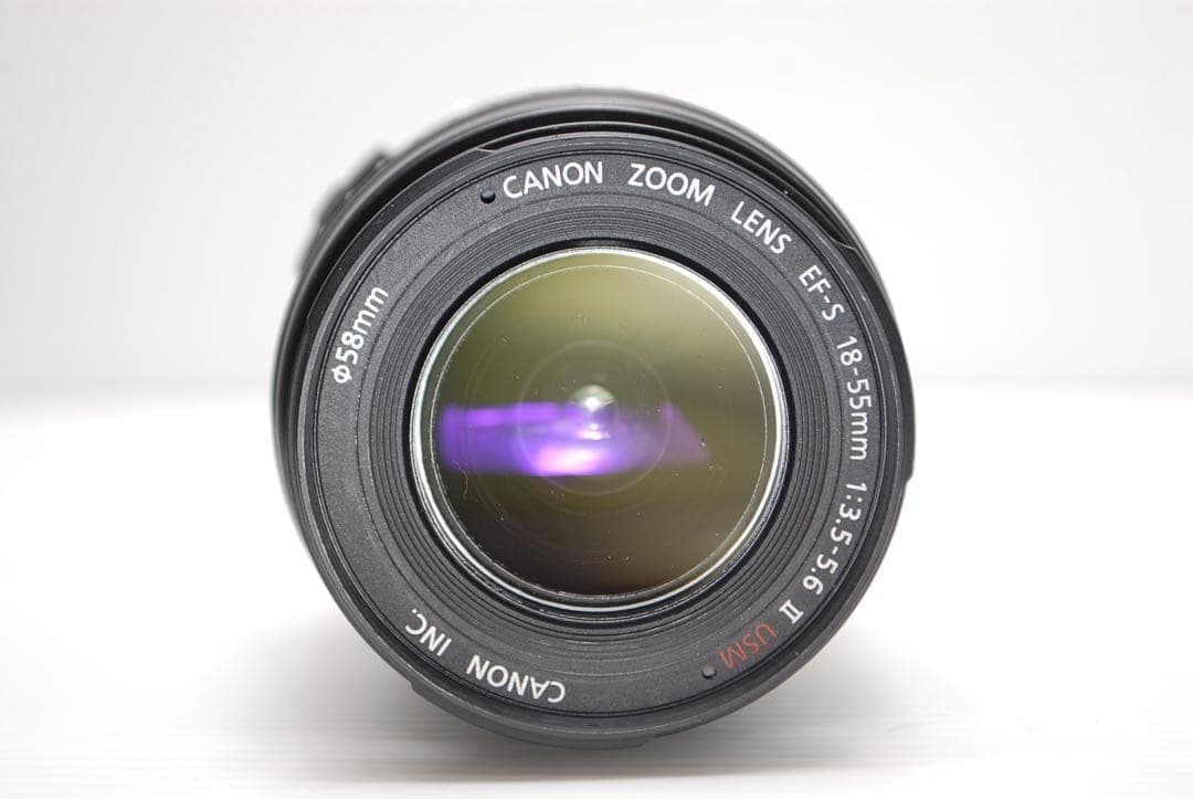 Canon Digital Slrs Eos 7D