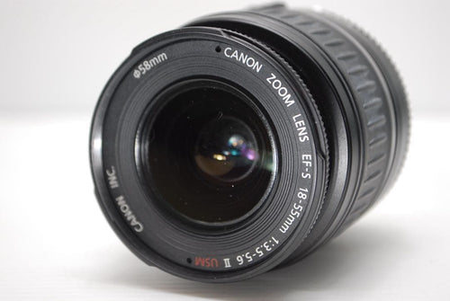 Canon Digital Slrs Eos 7D